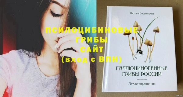 экстази Гусев