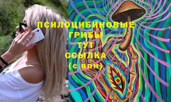 jwh Гусиноозёрск