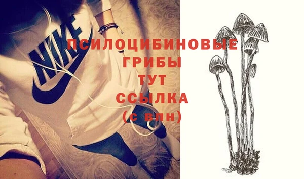 экстази Гусев
