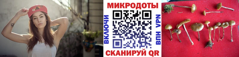 Псилоцибиновые грибы GOLDEN TEACHER  shop Telegram  Дно 